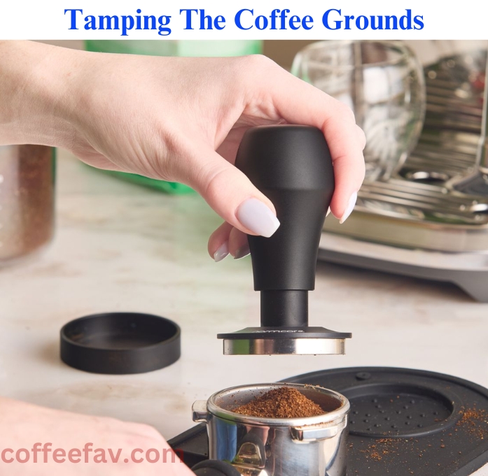 tamping the coffee grounds